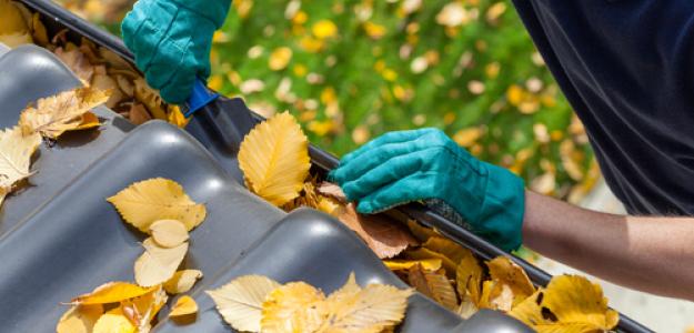 Seasonal Maintenance Tips to Increase Home Value